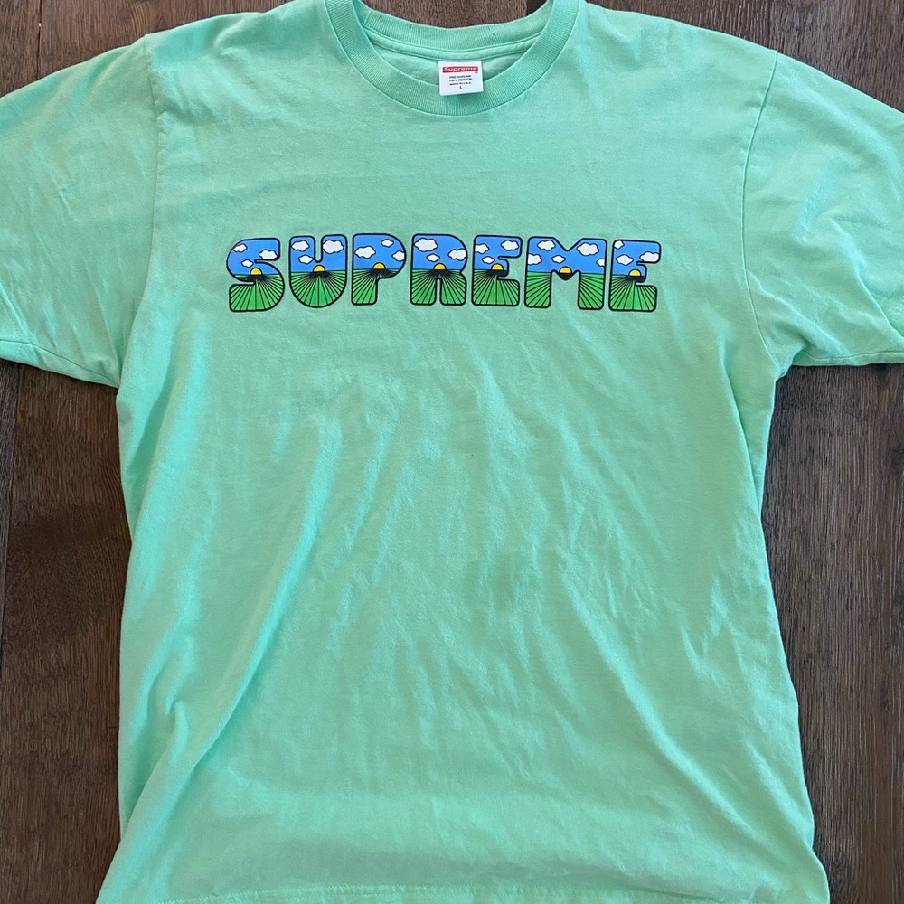 100% authentic Supreme this is the shit tee size L - Picture 4 of 4